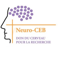 ASSOCIATION NEURO-CEB logo - Similar company to Filière De Santé Maladies Rares Brain-Team