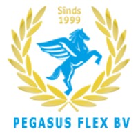 Pegasus Flex Uitzendbureau Bouw logo - Similar company to Bt Uitzendbureau