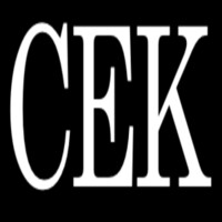 Consult-EK logo - Similar company to Raz Consult