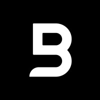 BSL Group logo - Similar company to Dachain