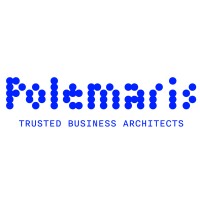 Polemaris logo - Similar company to Iconic Advisory Bh
