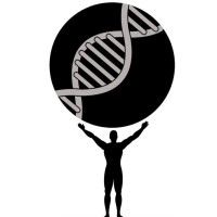 The Metis Foundation logo - Similar company to Incell