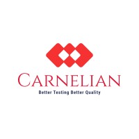 Carnelian Technologies Pvt. Ltd. logo - Similar company to Creative Web Designer