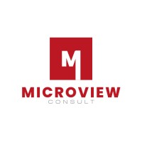 Microview Consult logo - Similar company to Ihr Solutions