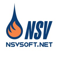NSVsoft logo - Similar company to Wikifire