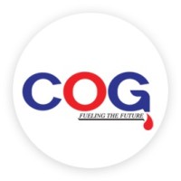 Capital Oil and Gas Industries LLC logo - Similar company to Digipetro