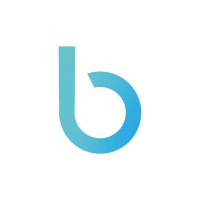 Bitzen Tecnologia logo - Similar company to Dynaset Software