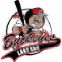 Lake Erie Buckeyes Semi-Pro Baseball Club logo - Similar company to Nanaimo Nightowls Baseball Club