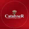 CatalyseR Eduventures Pvt. Ltd. logo - Similar company to Education Vibes