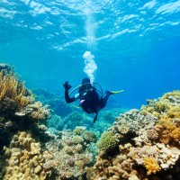 Scuba Diving logo - Similar company to Funiversity