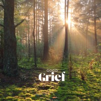goodGrief logo - Similar company to Good Grief