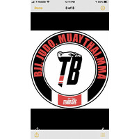 Tenbears Martial Arts Academy logo - Similar company to 9Round Australia