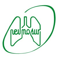 NEUMOSUR, Asociación de Neumología y Cirugía Torácica del SUR logo - Similar company to Neumomadrid
