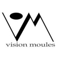 VISION MOULES logo - Similar company to Vl Innovations