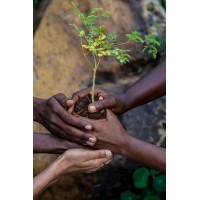 Harvesting For Good East Africa logo - Similar company to Good Natured Learning