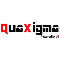 QuaXigma logo - Similar company to Adept Consulting