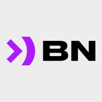 Blacknaut logo - Similar company to Quant-X Security & Coding Gmbh