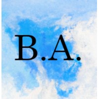 Brighton Ashford, LLC logo - Similar company to Ashford Digital Marketing