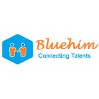 BlueHim Solutions logo - Similar company to Mega Audio
