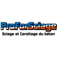 PROFORSCIAGE logo - Similar company to Ef Factory