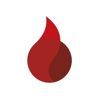 FlamingSoft Mexico logo - Similar company to Flamingsoft Inc