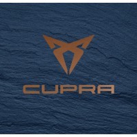 CUPRA Le Mans | Lecluse Automobiles logo - Similar company to Dame Cakes