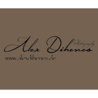 Alex Dihenes Photography logo - Similar company to Gwel - Artiste