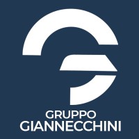 Gruppo Giannecchini logo - Similar company to Dr-One Srl