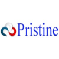 Pristine Consulting logo - Similar company to Campus Fortify Private Limited