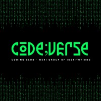 CodeVerse - Coding Club of MERI logo - Similar company to Dev Dynamos