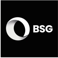 BSG logo - Similar company to Challenging