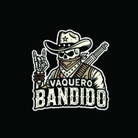 Vaquero Snacks logo - Similar company to Hypergrowth Marketer