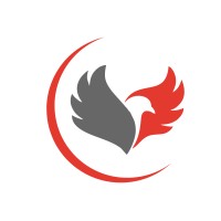 DooDigital.co logo - Similar company to Animeta