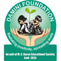 Damini Foundation logo - Similar company to Lonvia