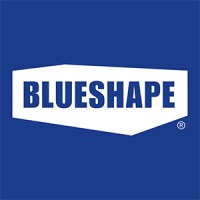 BLUESHAPE logo - Similar company to Electri | Veicoli Elettrici