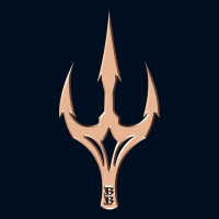 Bluboy Entertainments Pvt Ltd., logo - Similar company to Brochill