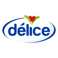 Délice Holding logo - Similar company to Rose Blanche Group