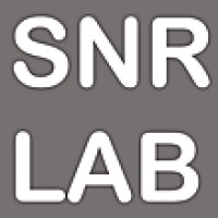 SNRLAB logo - Similar company to So1Ne Co.