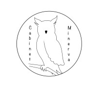 Cabinet Minerva logo - Similar company to Team Genève