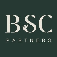 BSC Partners logo - Similar company to Prospectstream Software, Inc