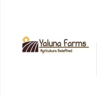 Yaluna Farms Limited logo - Similar company to Forbes Networks Media