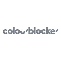 Colourblocker logo - Similar company to Future-Now