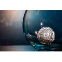 Crypto Hustle logo - Similar company to Watch Crypto