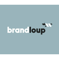 Brandloup BV logo - Similar company to De Wit Group