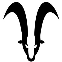Capricorn EMC logo - Similar company to Itec Group Australia