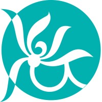 Clear Passage Physical Therapy logo - Similar company to Primal 7