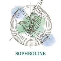 Sophrologie et aeronautique logo - Similar company to Ceas Paris - Centre De Formation En Sophrologie
