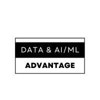 The Data & AI/ML Advantage logo - Similar company to Stybe