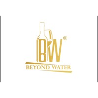 Beyond Water logo - Similar company to Beyondwater