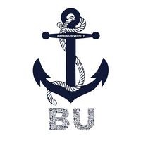 Placement and Alumni Activities Bahria University Karachi Campus logo - Similar company to Codezac